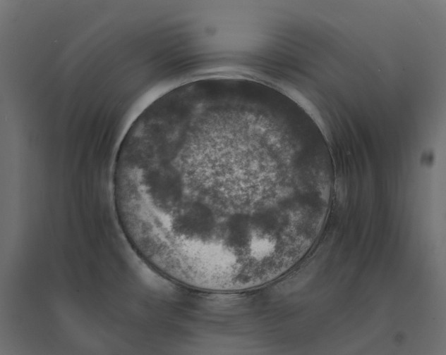 X0000094341482200711241840