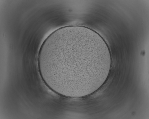 X0000094341486200711241840