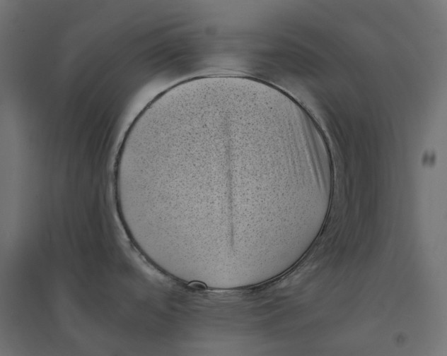 X0000094341488200711241840