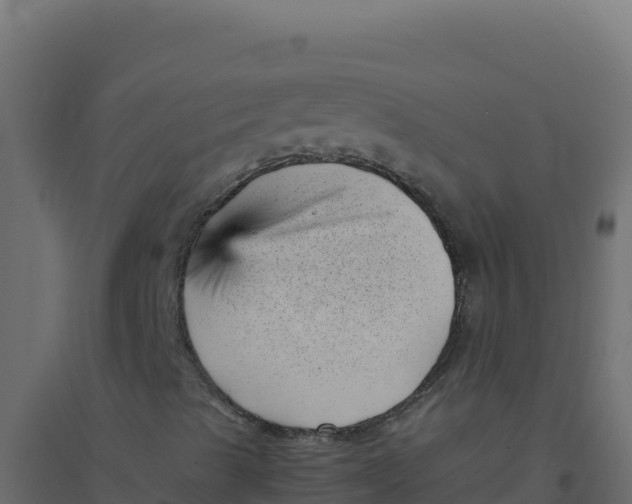 X0000094341489200711241840