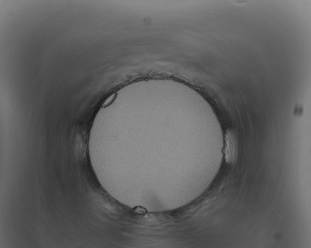 X0000094341491200711241840