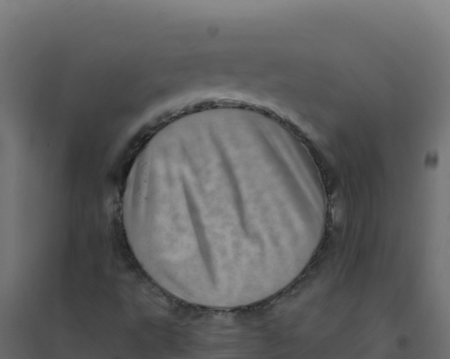 X0000094341495200711241840