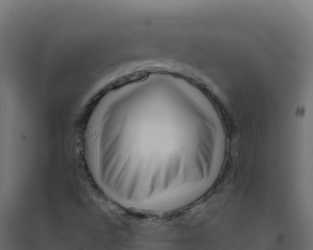 X0000094341496200711241840