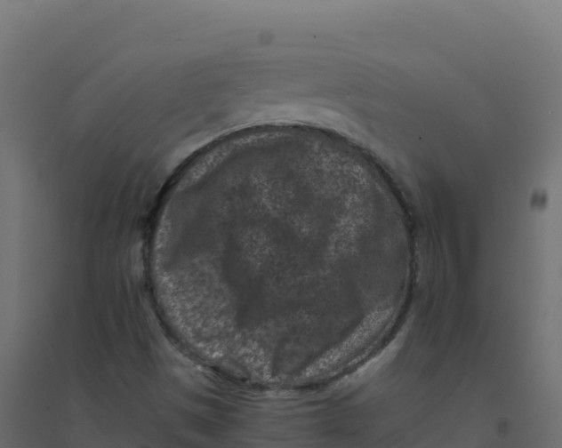 X0000094341497200711241840