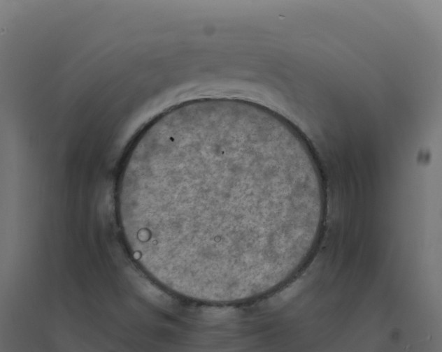 X0000094341498200711241840