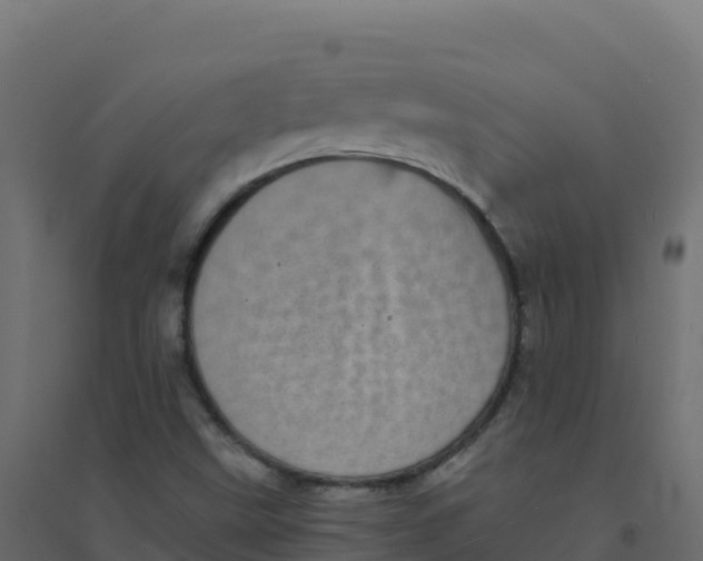 X0000094341499200711241840