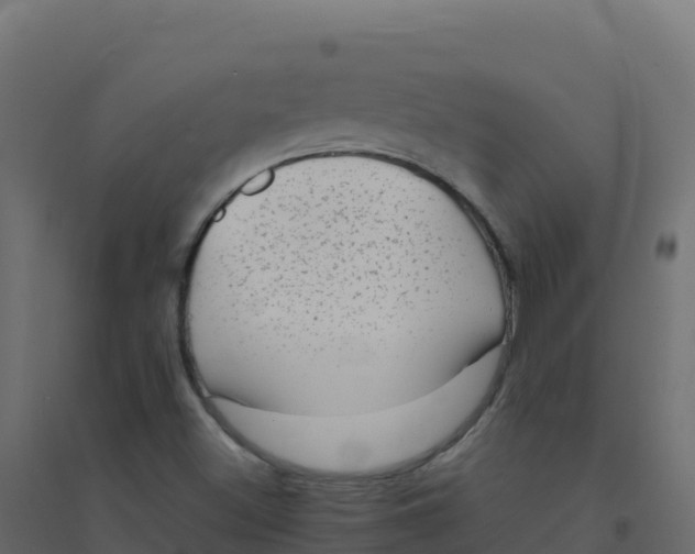 X0000094341500200711241840