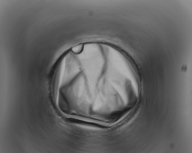 X0000094341501200711241840