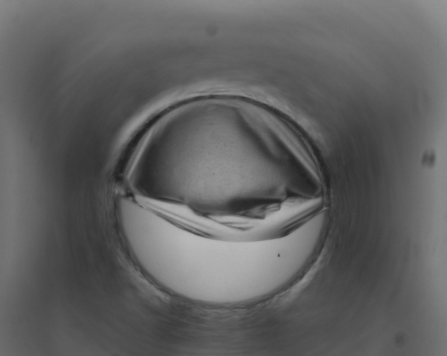 X0000094341502200711241840