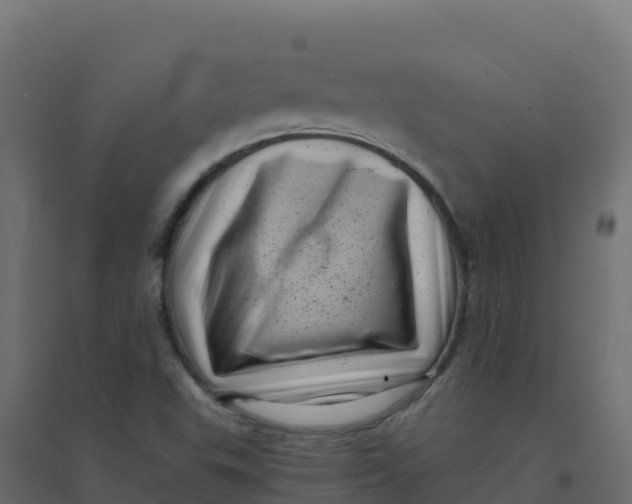 X0000094341503200711241840