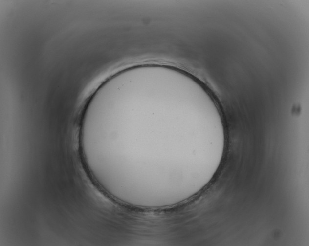 X0000094341504200711241840