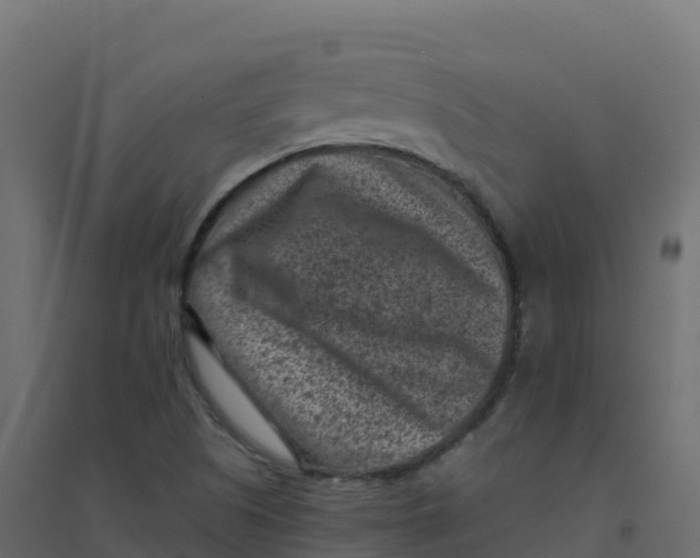 X0000094341505200711241840