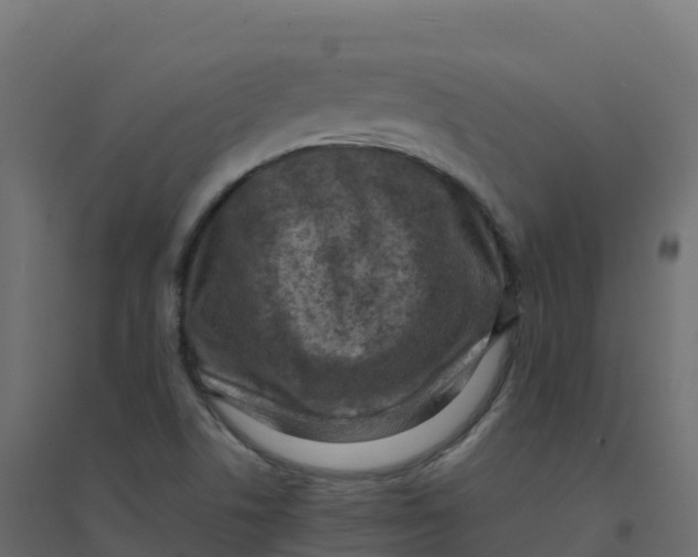 X0000094341506200711241840