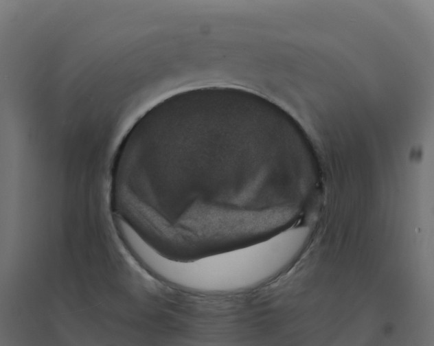 X0000094341508200711241840