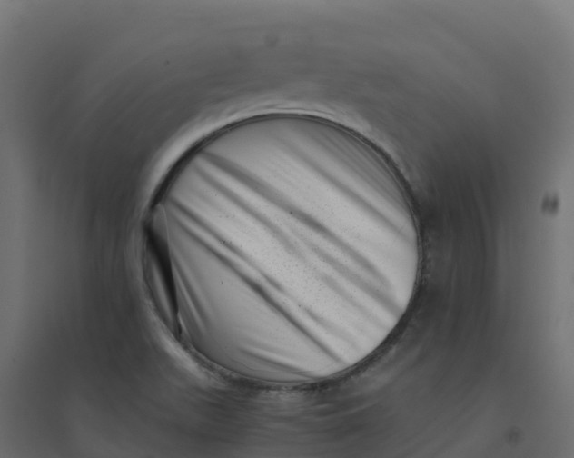 X0000094341511200711241840