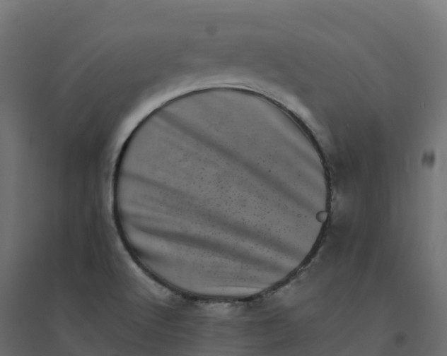 X0000094341512200711241840