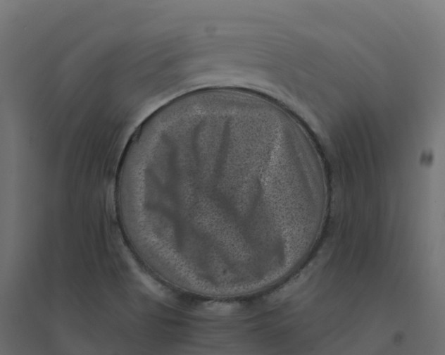 X0000094341513200711241840