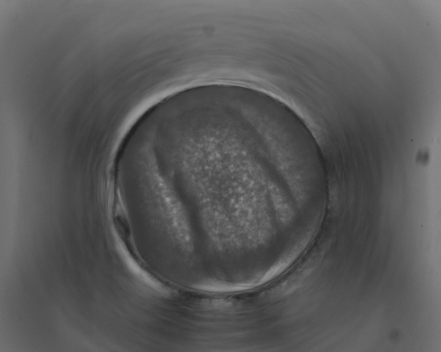 X0000094341515200711241840