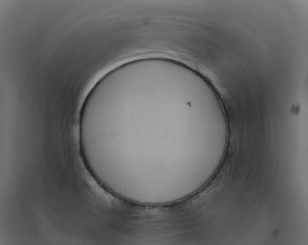 X0000094341516200711241840