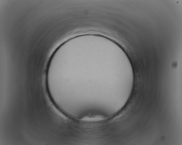 X0000094341518200711241840