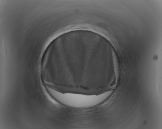 X0000094341519200711241840