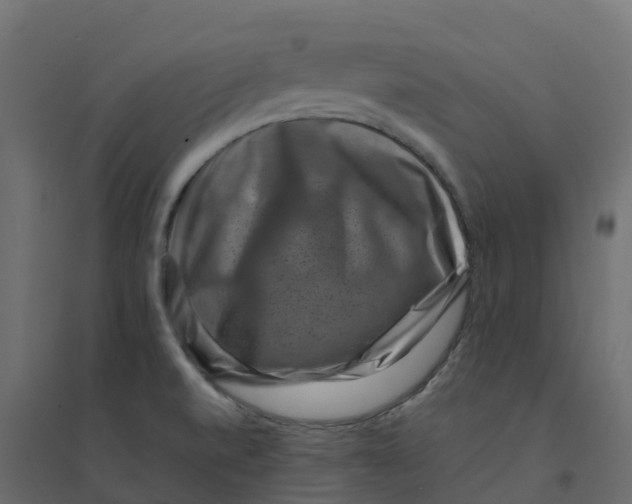 X0000094341520200711241840