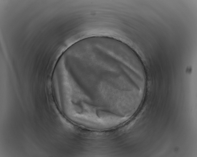 X0000094341521200711241840