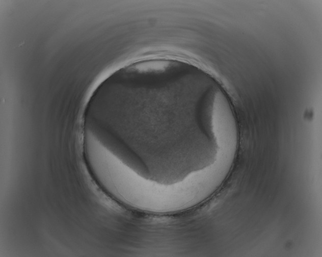 X0000094341522200711241840