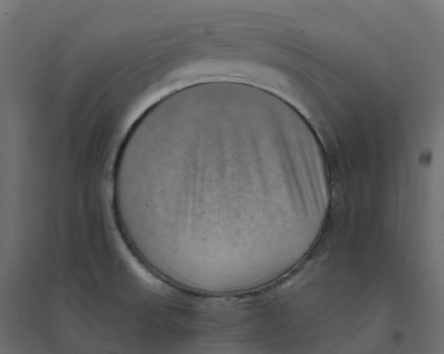 X0000094341523200711241840