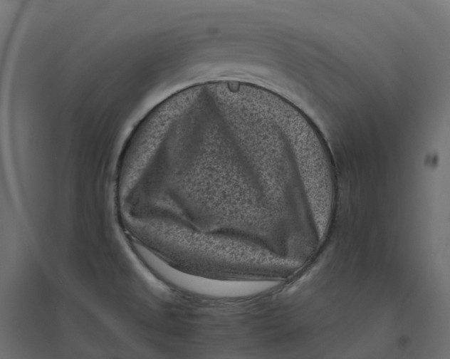 X0000094341525200711241840