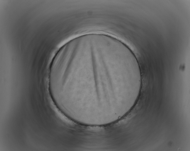 X0000094341526200711241840