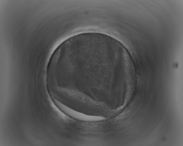 X0000094341527200711241840