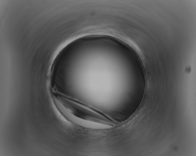 X0000094341528200711241840