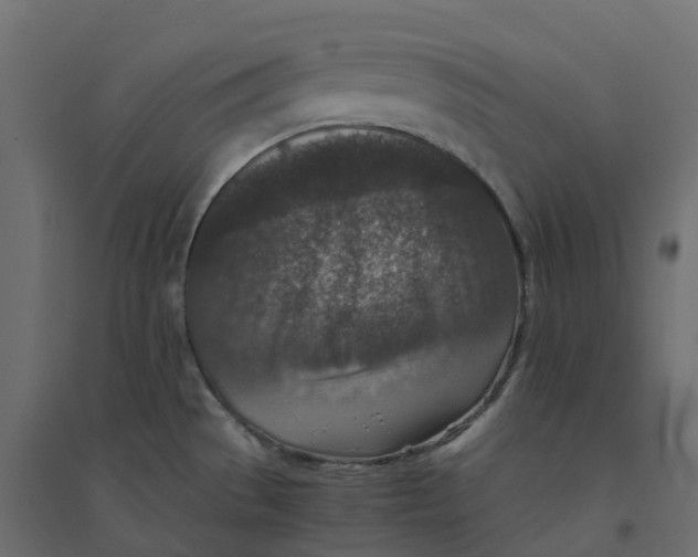 X0000094341529200711241840