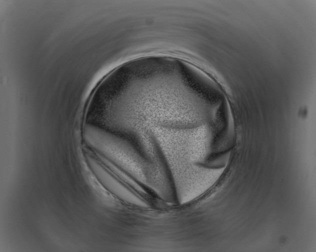 X0000094341530200711241840