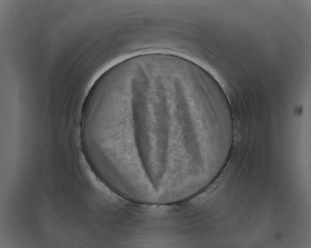 X0000094341534200711241840