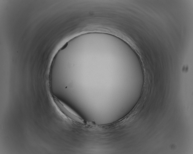 X0000094341536200711241840