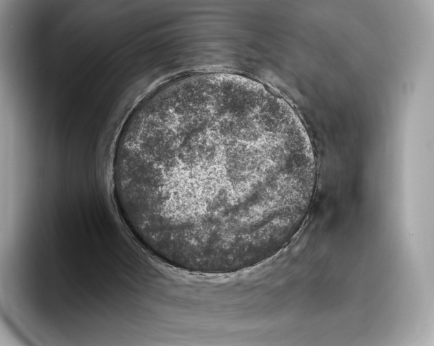 X0000094340002200711301258