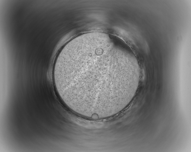 X0000094340004200711301258