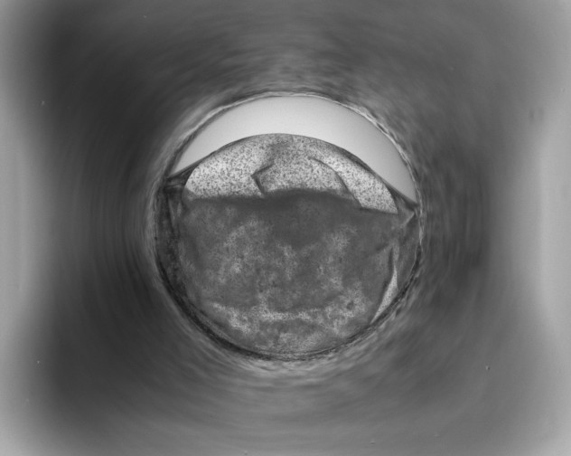 X0000094340005200711301258