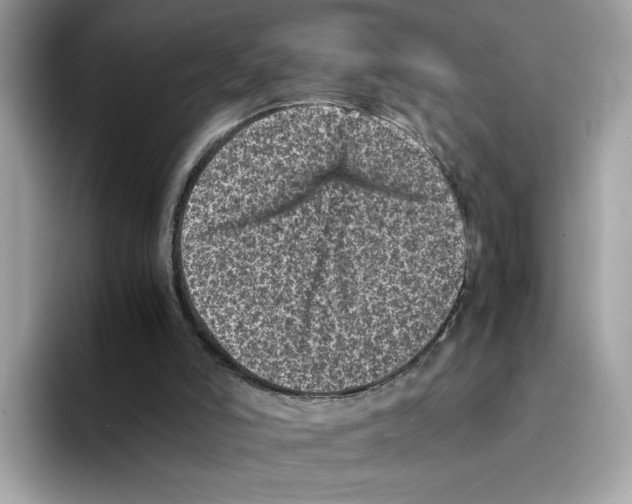 X0000094340006200711301258