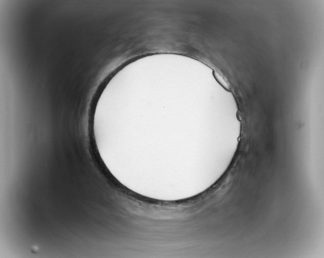 X0000094340008200711301258