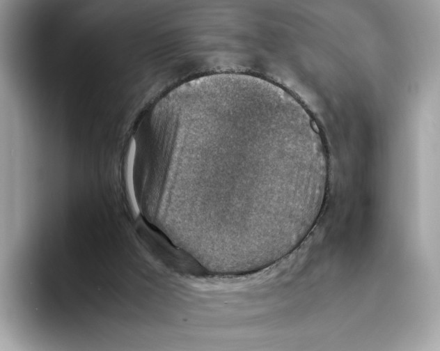 X0000094340009200711301258