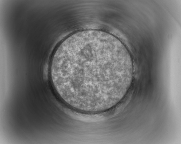 X0000094340012200711301258