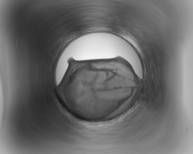 X0000094340013200711301258