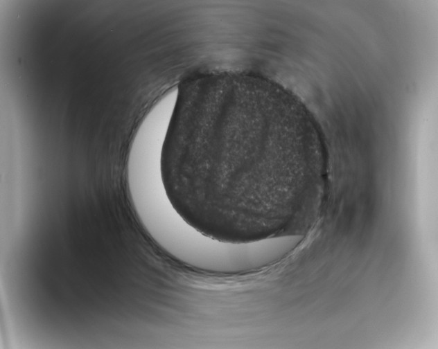 X0000094340017200711301258