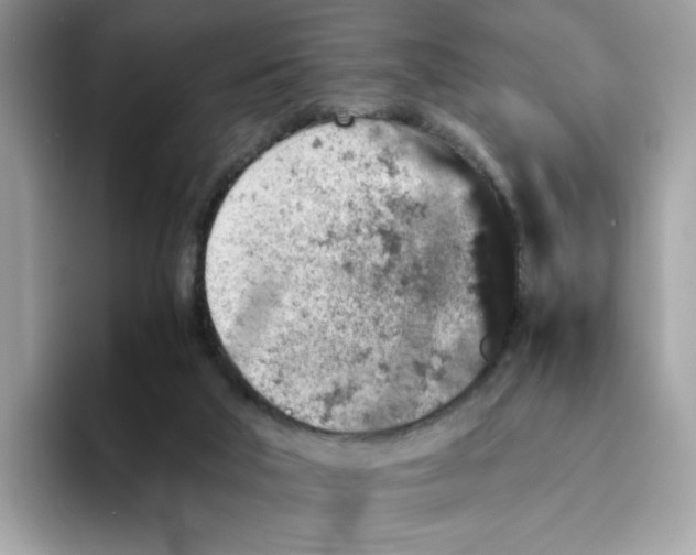 X0000094340018200711301258