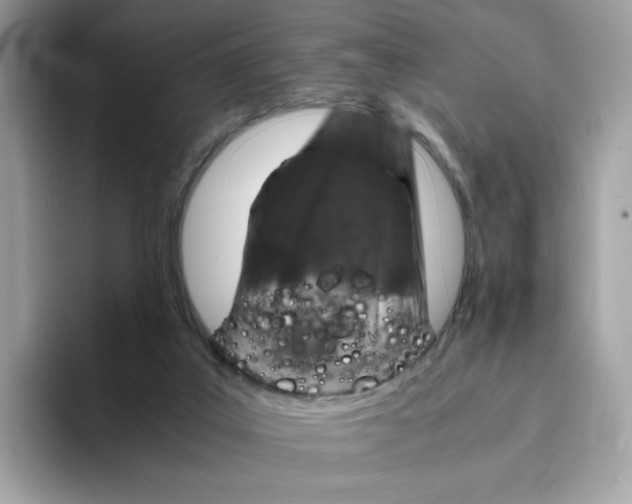 X0000094340019200711301258