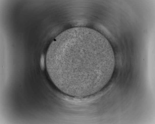 X0000094340022200711301258