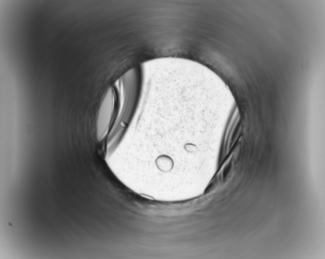 X0000094340025200711301257